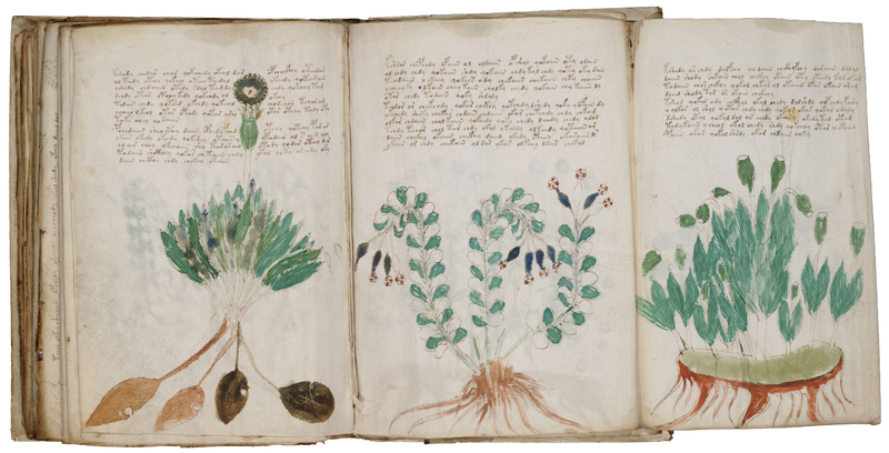 Illustration for article titled Códice Voynich: el manuscrito cifrado que nadie ha podido resolver en 600 años
